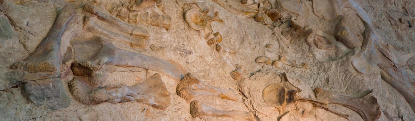 Dinosaur National Monument, Utah