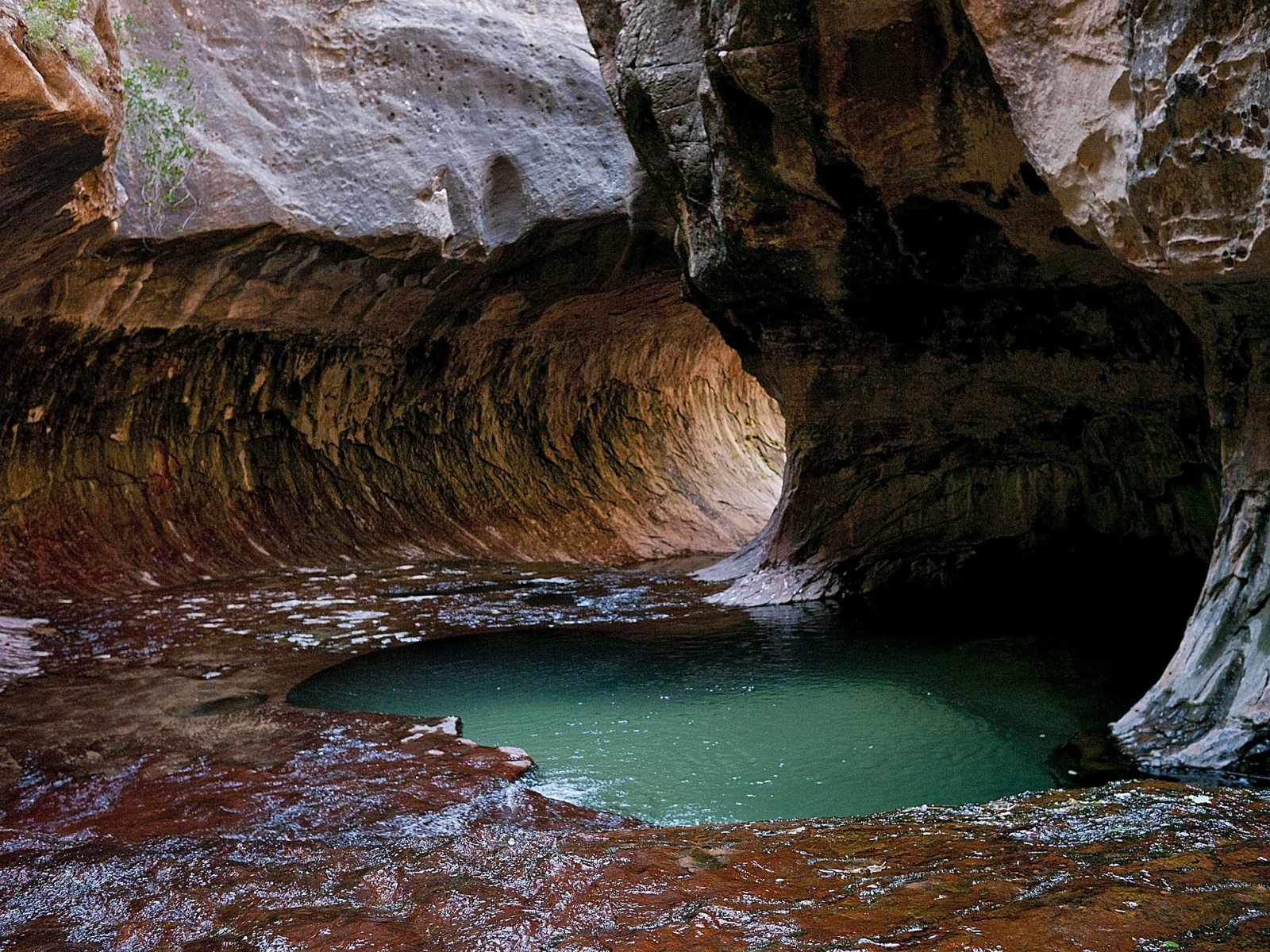 The Subway: Zion National Park, Utah
