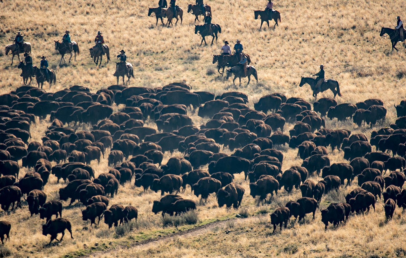 Antelope Island State Park, Utah